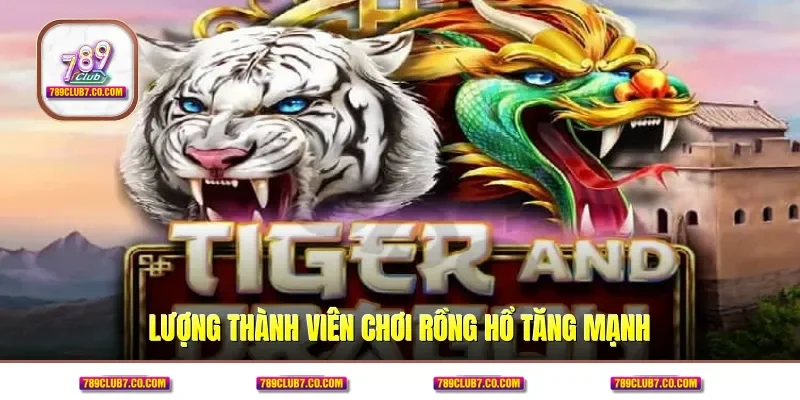 Lượng thành viên chơi Rồng Hổ tăng mạnh